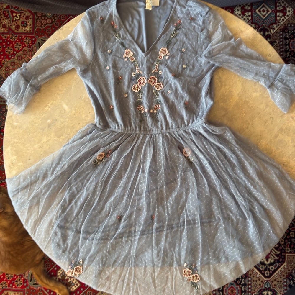 Blue Embroidered Tulle Dress